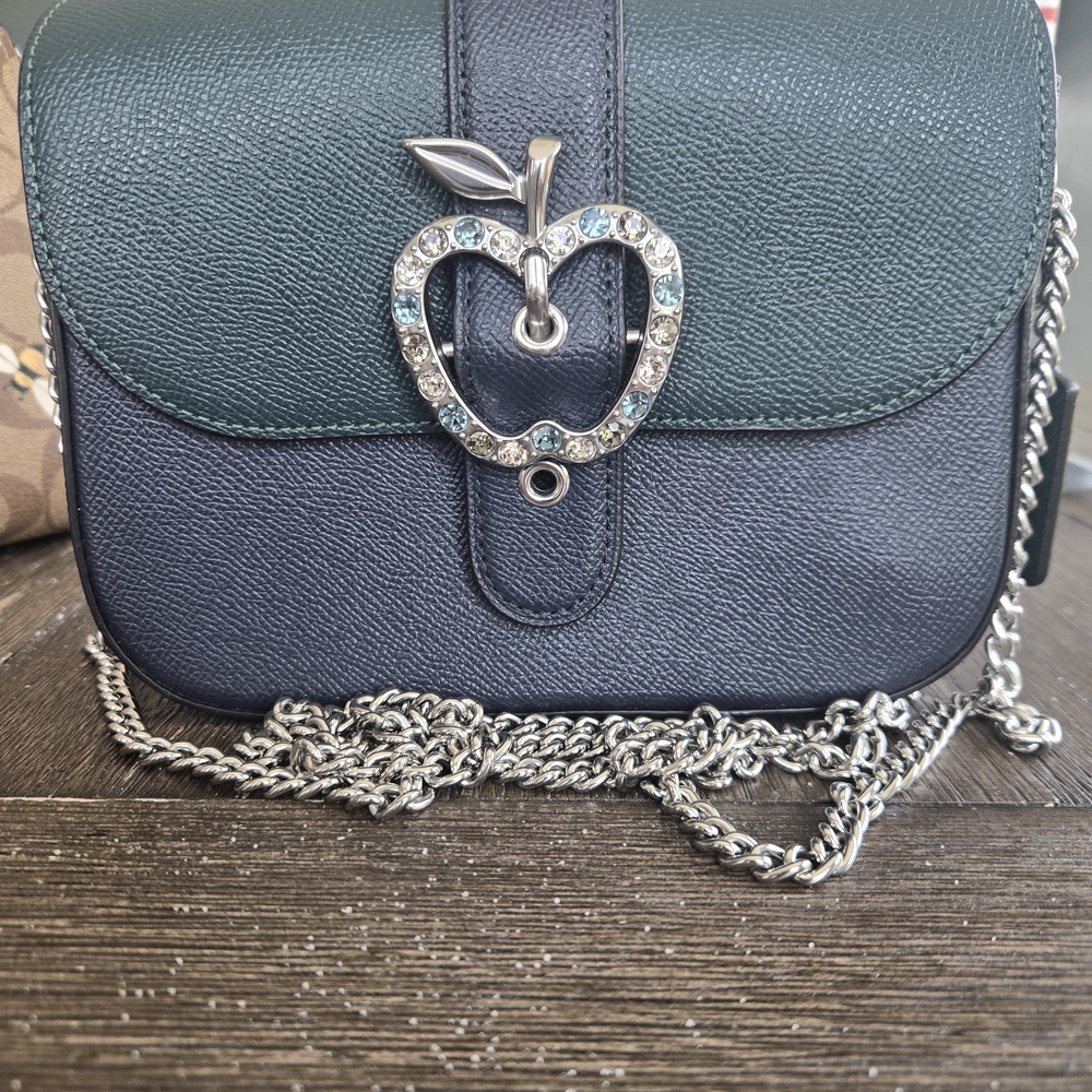 Coach Green and Blue Crossbody Bag with Apple Accent